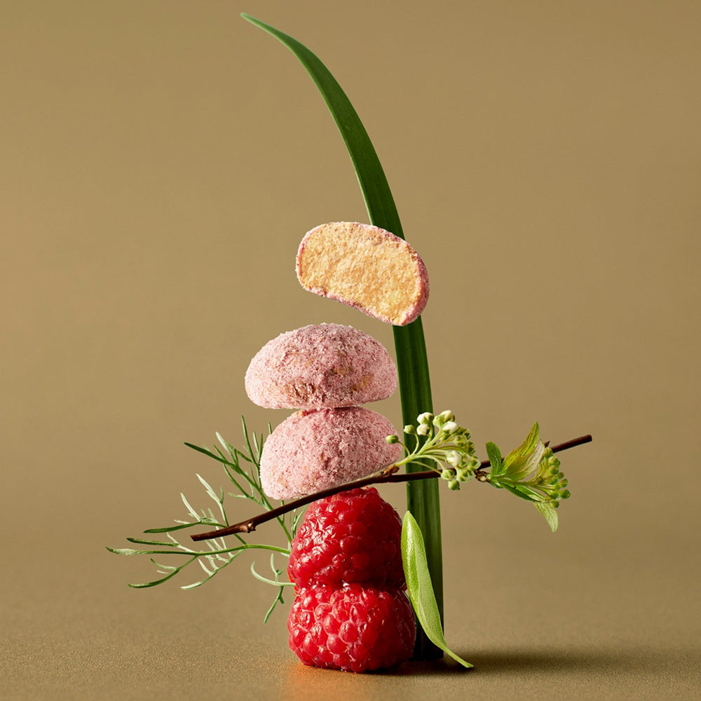 Mr. Raccoon's Snowball Magic