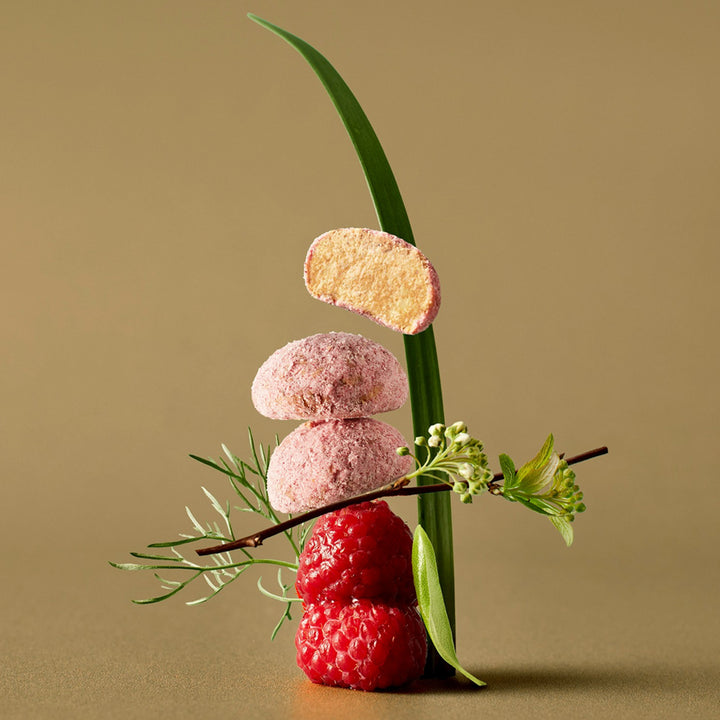 Mr. Raccoon's Snowball Magic