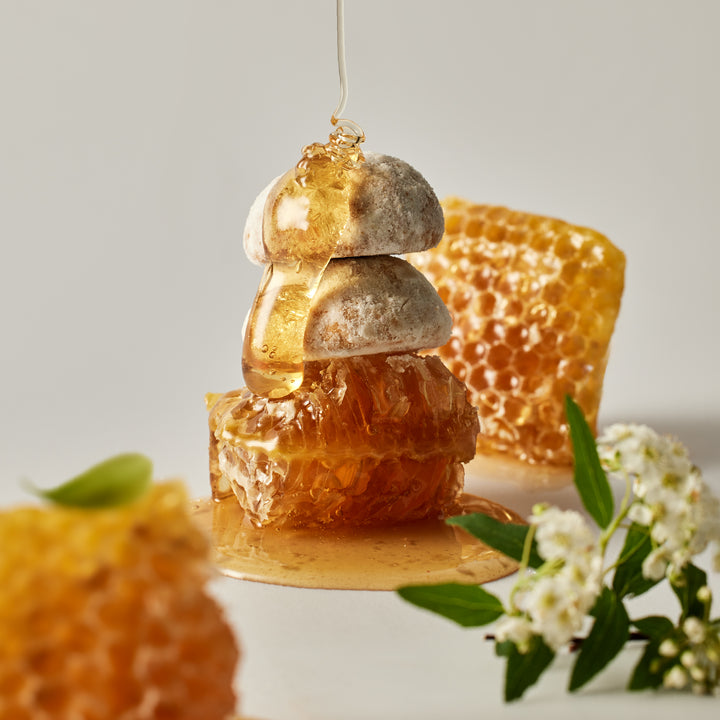 Mr. Raccoon's Snowball Magic