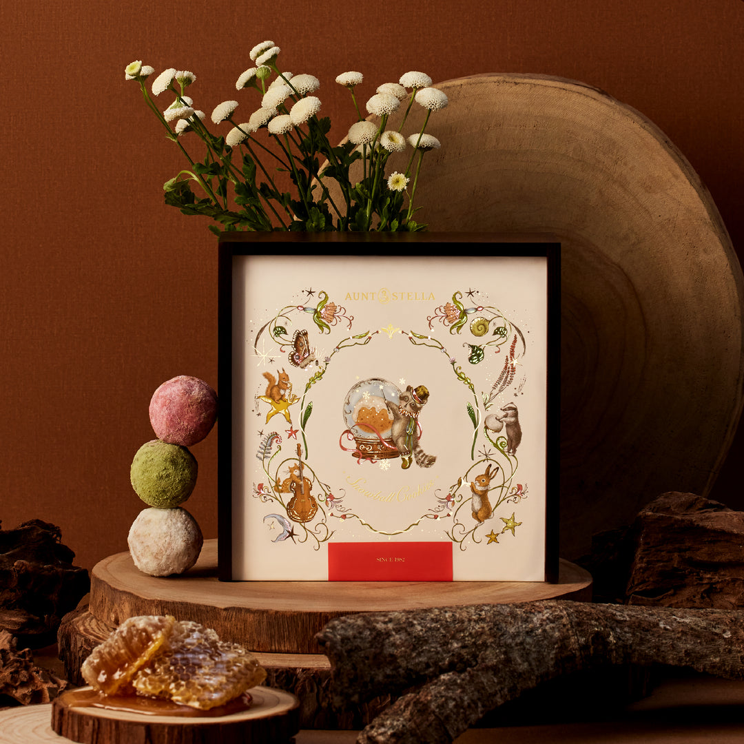 Mr. Raccoon's Snowball Magic