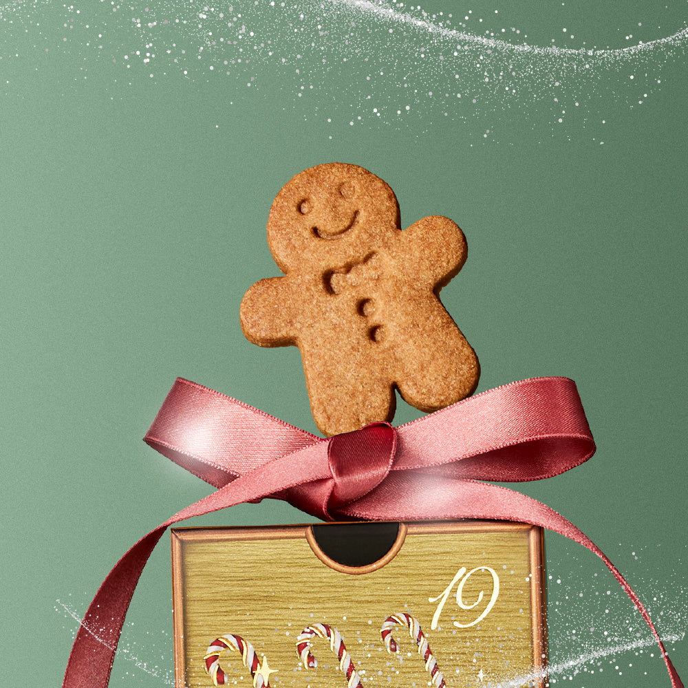 Juniper與胡桃鉗的倒數奇蹟