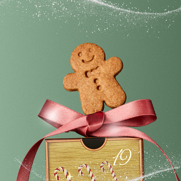 Juniper與胡桃鉗的倒數奇蹟