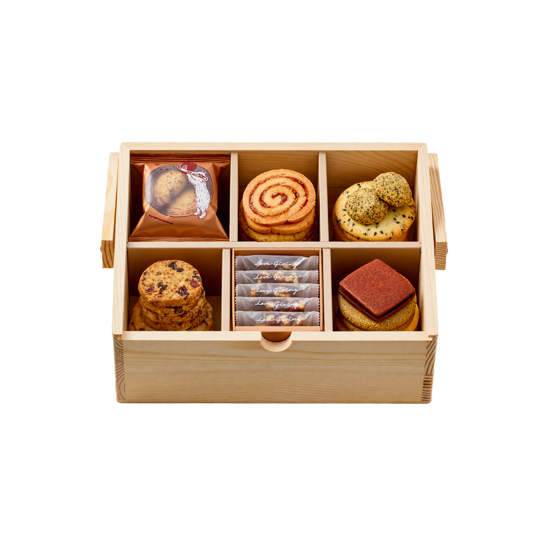 春日拾光