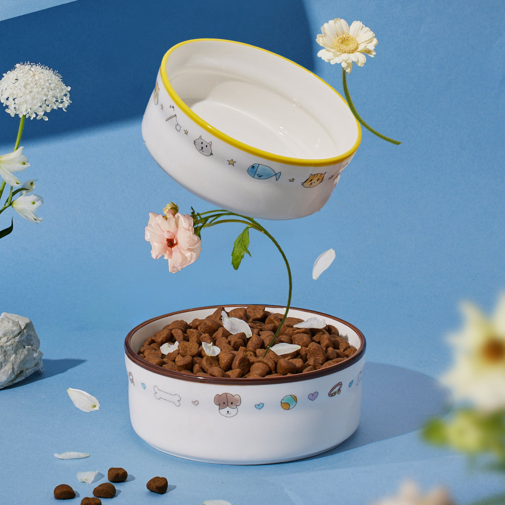 王淨聯名 寵物公益禮盒